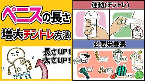 ちんこがでかくなる方法|【泌尿器科の医師が解説】亀頭を大きくする4つの方。